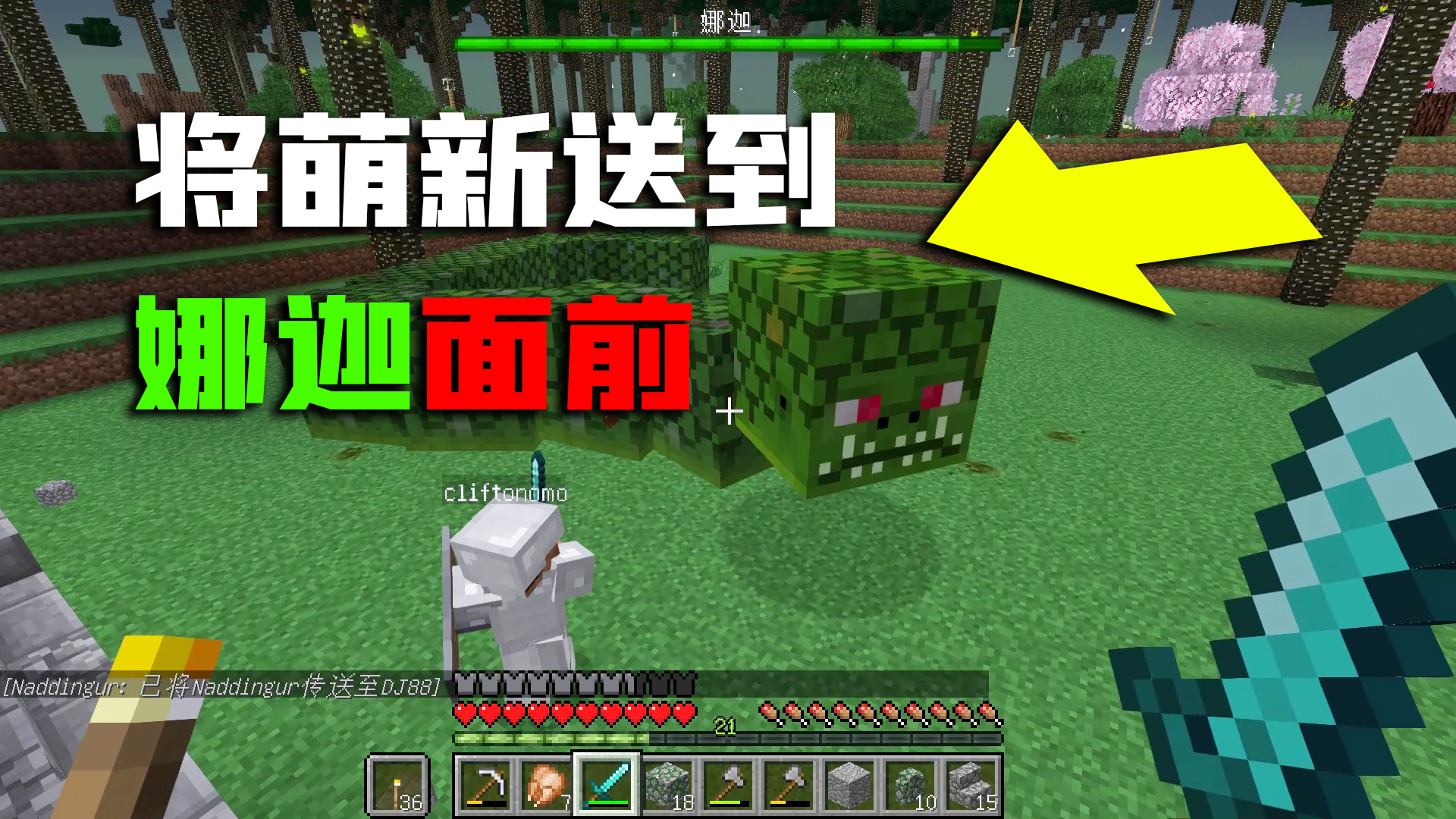 【A等生】【次元赛道】【我的世界】队友:我TM谢谢你啊!